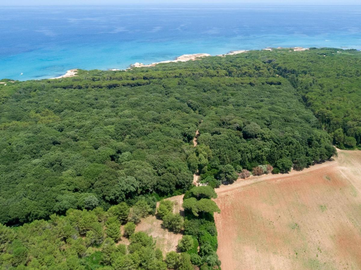 אוטרנטו Masseria Specchiulla מראה חיצוני תמונה