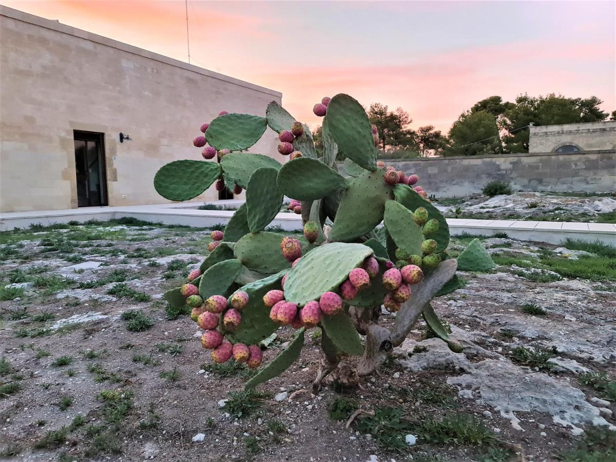 אוטרנטו Masseria Specchiulla מראה חיצוני תמונה