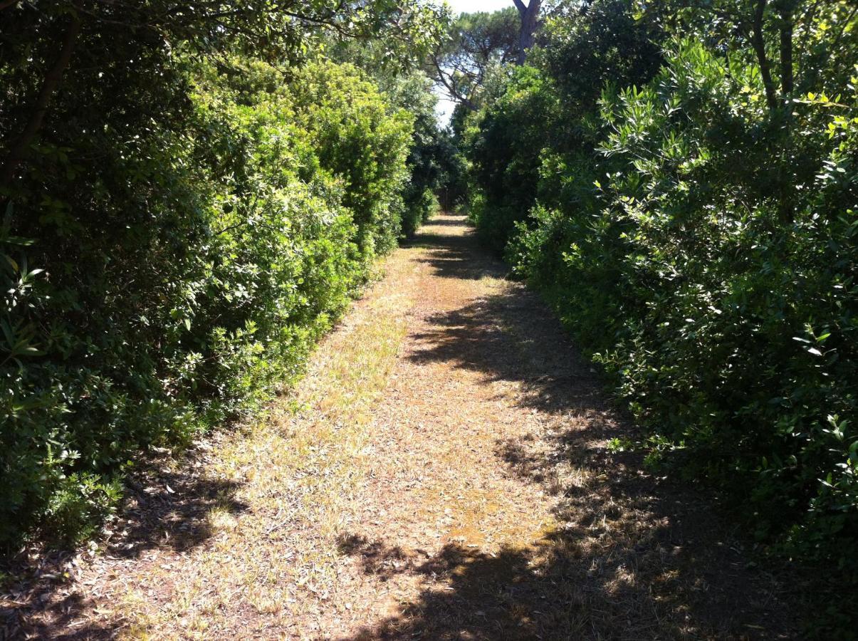 אוטרנטו Masseria Specchiulla מראה חיצוני תמונה